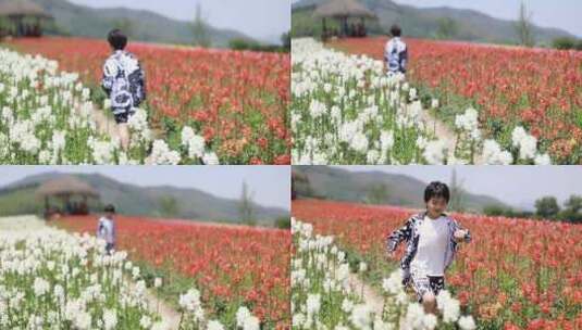 快乐的男孩在杭州径山花海高清在线视频素材下载