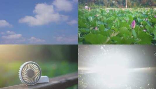 夏天 西瓜 二十四节气 立夏高清在线视频素材下载