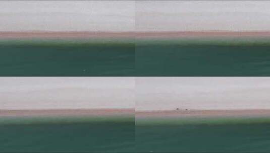 大海沙滩海浪风景竖屏航拍高清在线视频素材下载