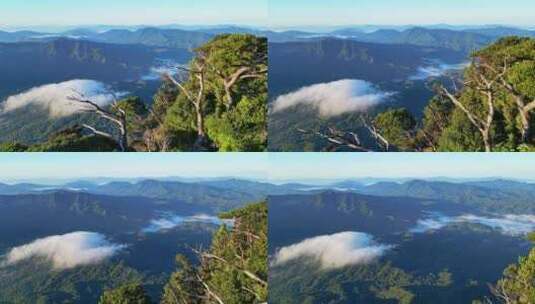 海南五指山热带雨林国家森林公园山脉日出高清在线视频素材下载