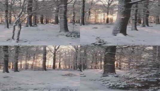 拍摄森林里被大雪覆盖的路边高清在线视频素材下载