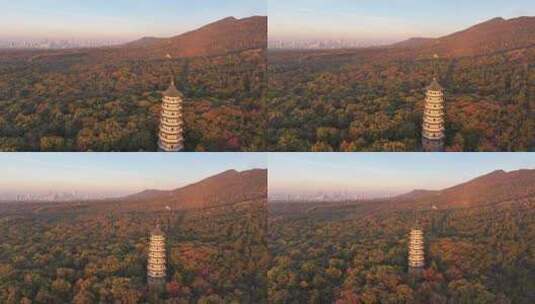 南京 灵谷塔 秋景 南京秋天 秋色 历史建筑高清在线视频素材下载