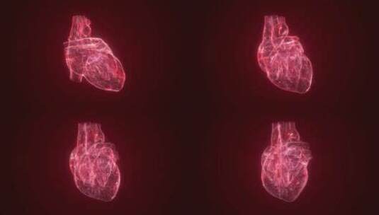 红色科技心脏动画医学演示医疗特效全息投影高清在线视频素材下载