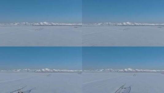东北垦区雪原风光高清在线视频素材下载