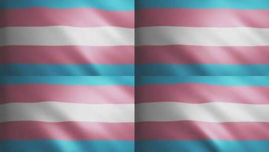 双性恋骄傲旗，织物纹理随风移动。挥舞旗帜高清在线视频素材下载