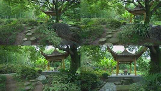 武汉东湖磨山景区盆景园高清在线视频素材下载