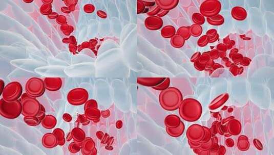 血液细胞 医学动画 细胞高清在线视频素材下载