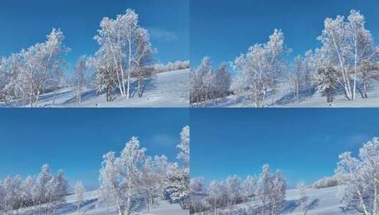 极寒雪原白桦雾凇美景高清在线视频素材下载