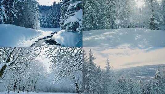 唯美冬季雾凇雪景 (2)高清在线视频素材下载