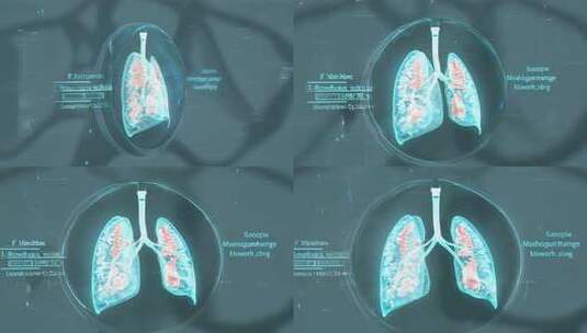 肺部结构的3D模型展示高清在线视频素材下载