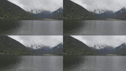 4k超清川西高原航拍湖泊牧场山谷牛群马匹高清在线视频素材下载