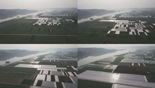 万亩蔬菜基地高清在线视频素材下载