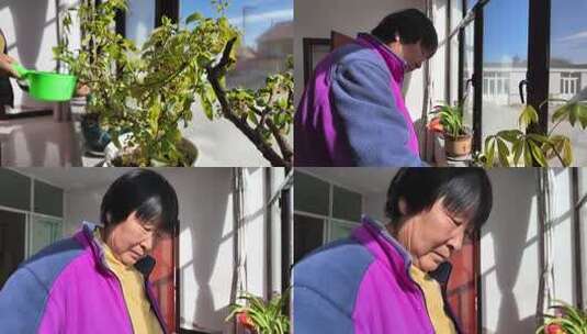 老人窗边照料盆栽画面高清在线视频素材下载