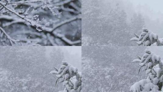 冬季下雪天气 暴雪天气高清在线视频素材下载