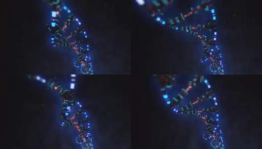 病毒 细胞 细菌 红细胞 肿瘤 癌症 神经高清在线视频素材下载