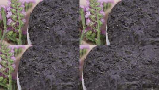 泡发紫菜制作紫菜汤海藻高清在线视频素材下载