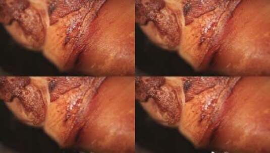 猪皮肘子皮表面焦化酥脆高清在线视频素材下载