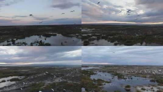 候鸟迁徙航拍4k高清原素材高清在线视频素材下载