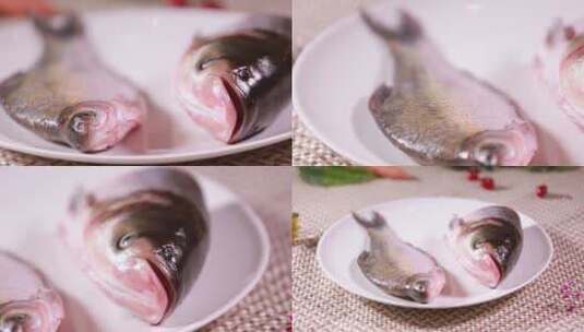 【镜头合集】白鲢鱼大头鱼胖头鱼高清在线视频素材下载