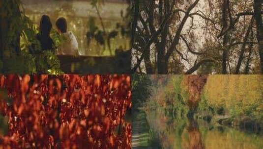 唯美闺蜜公园秋天秋景空镜合集高清在线视频素材下载