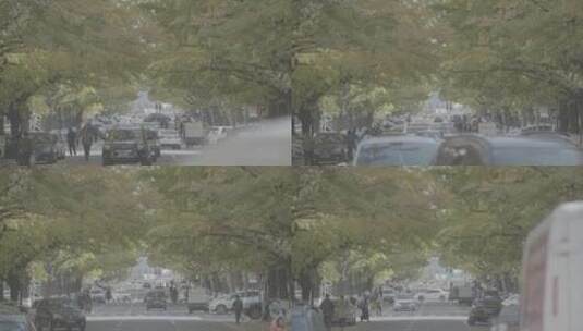 秋天城市街景LOG高清在线视频素材下载