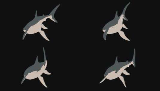 鲨鱼 大白鲨 高清在线视频素材下载