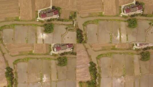 乡村梯田农田灌溉水渠高清在线视频素材下载
