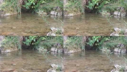 山林中的溪水高清在线视频素材下载