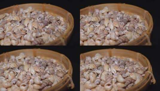 小海螺壳装饰水族贝壳高清在线视频素材下载
