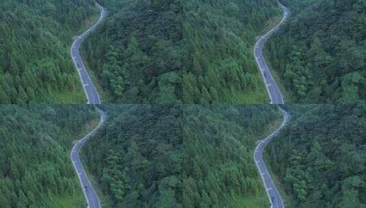 俯视山林蜿蜒公路黑色白色行车高清在线视频素材下载