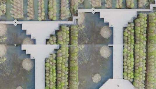 苏式园林九曲桥人文景观设计高清在线视频素材下载