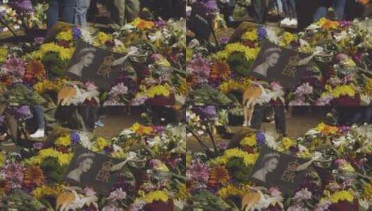 伦敦绿色公园花卉贡品和哀悼者高清在线视频素材下载