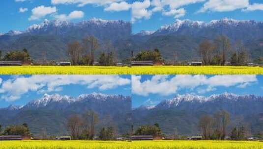 【延时】雪山下的乡村油菜花田高清在线视频素材下载