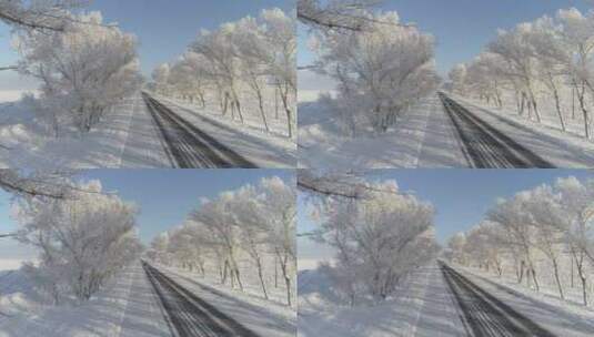汽车在雪地树林风景优美的道路上行驶高清在线视频素材下载