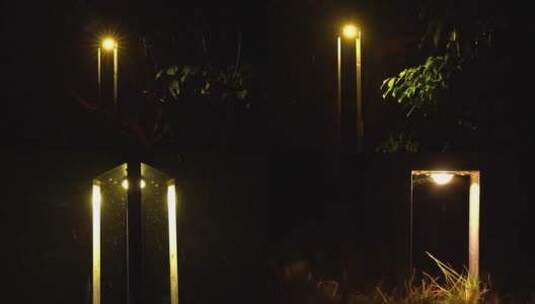 雨天夜晚城市树叶路灯高清在线视频素材下载