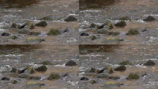 河流瀑布高清在线视频素材下载