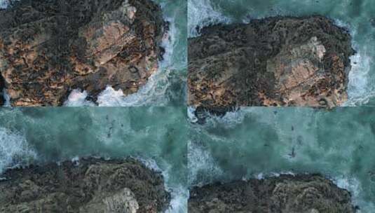 鸟瞰智利充满海狮的科布克库拉·皮埃德拉·德拉洛比亚——无人机拍摄高清在线视频素材下载