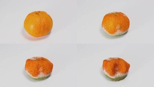 2K烂橘子延时摄影高清在线视频素材下载