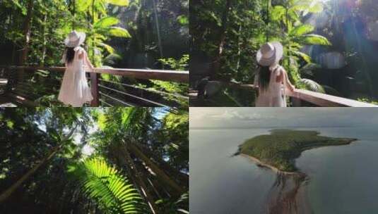 美女仰望森林阳光照射树叶澳大利亚弗雷泽岛高清在线视频素材下载