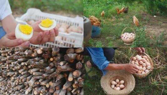 农家土鸡蛋高清在线视频素材下载