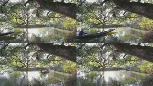 原创拍摄德清县下渚湖湿地房子河港大树高清在线视频素材下载