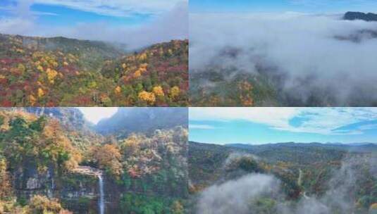 秋天森林航拍4k素材高清在线视频素材下载