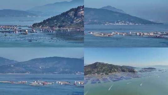 福建近海渔排航拍 海岛渔业繁荣景象高清在线视频素材下载