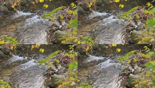 秋天清澈见底的小溪和看起来像小瀑布的小急高清在线视频素材下载