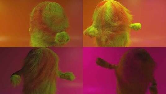 3d，毛茸茸的，生物，跳舞高清在线视频素材下载