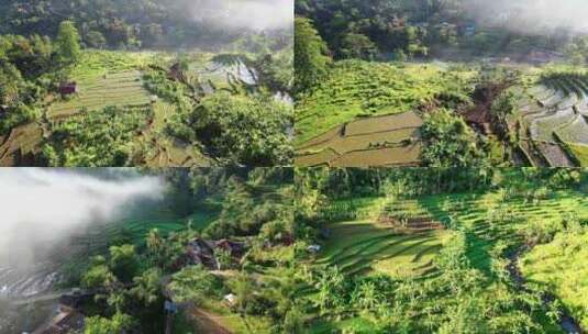 Banaue水稻梯田的鸟瞰图高清在线视频素材下载