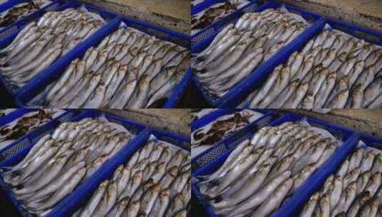 冰盘上的新鲜鱼准备出售高清在线视频素材下载