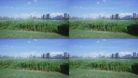 武汉武昌区沙湖公园风景高清在线视频素材下载