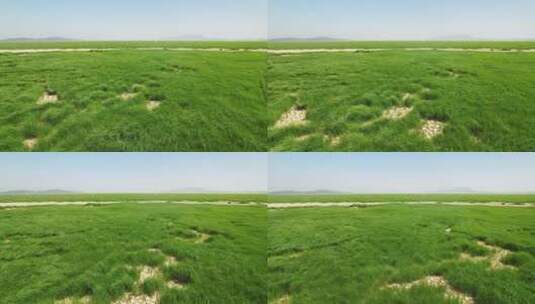 干涸的鄱阳湖河床大草坪蓝天下航拍高清在线视频素材下载