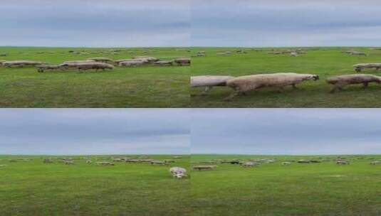 云层上的风景，一起享受大自然的美高清在线视频素材下载